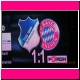 hoffenheim-fcb082.JPG
